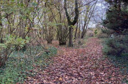 Terrain à COULOMMIERS (77169) - 3011437207