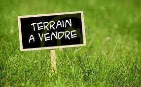 Terrain à SAINT GEORGES DES AGOUTS (17150) - 3011439262