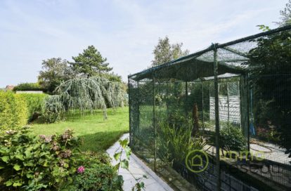 Maison à NIEPPE (59850) - 3011435417