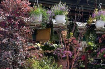 Fleuriste à PARIS 17EME ARRONDISSEMENT (75017) - 3011440491