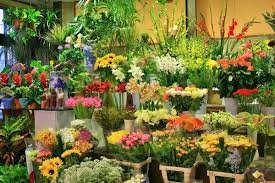Fleuriste à CANNES-LA-BOCCA (06150) - 3011440501