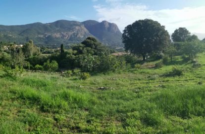 Terrain à ALATA (20167) - 3011440753