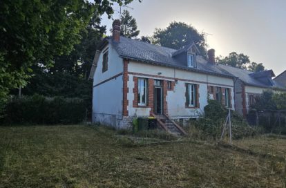 Maison à NEUNG SUR BEUVRON (41210) - 3011440509