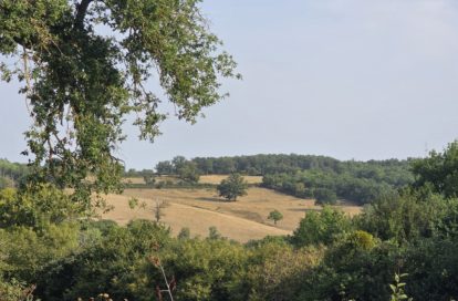 Maison à SAINT CIVRAN (36170) - 3011440841