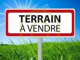 Terrain à SAINT BONNET SUR GIRONDE (17150) - 3011440854