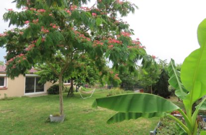 Maison à ST JEAN DE LA RUELLE (45140) - 3011434533