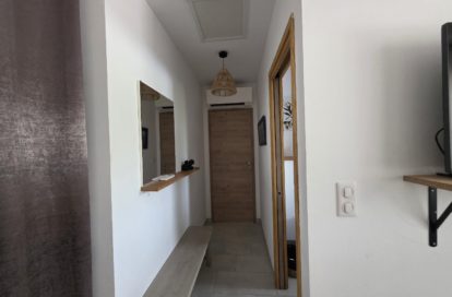 Maison à LECCI (20137) - 3011440800