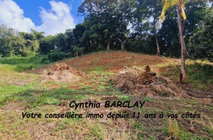 Terrain à LE FRANCOIS (97240) - 3011434158