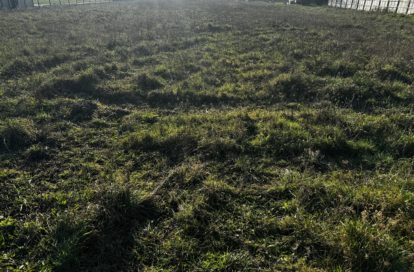 Terrain constructible à CHERRUEIX (35120) - 3011437991