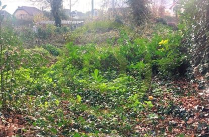 Terrain constructible à TAVERNY (95150) - 3011438003