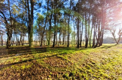 Terrain à SOUBRAN (17150) - 3011439604