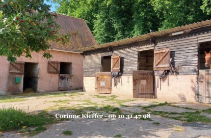 Haras / Equestre à BETHEMONT LA FORET (95840) - 3011440127