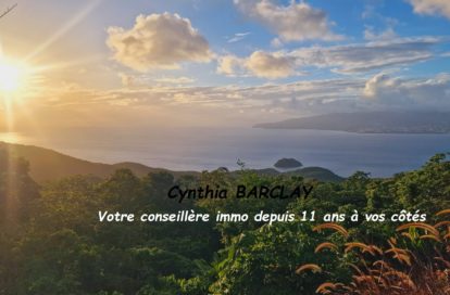 Villa à LES ANSES D’ARLET (97217) - 3011440206