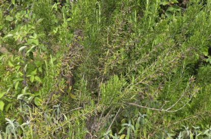 Terrain à ARGENTON SUR CREUSE (36200) - 3011440661