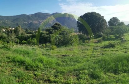 Terrain à ALATA (20167) - 3011440753