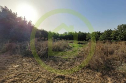 Terrain à SAINT SORLIN DE CONAC (17150) - 3011440816