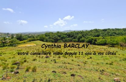 Ensemble Immobilier à RIVIERE SALEE (97215) - 3011441060