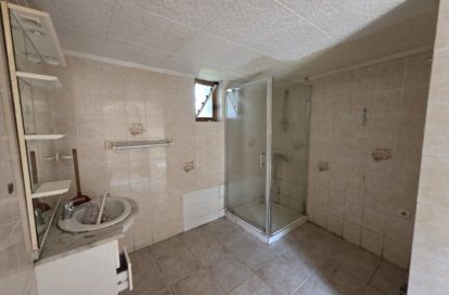 Maison à CHATILLON SUR INDRE (36700) - 3011441083