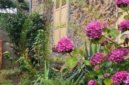 Maison à DRAVEIL (91210) - 3011441781