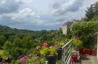 Maison à SAINT BENOIT DU SAULT (36170) - 3011441826