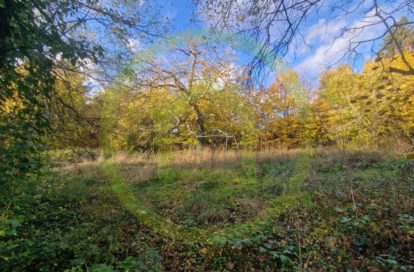 Terrain à BETHEMONT LA FORET (95840) - 3011441843