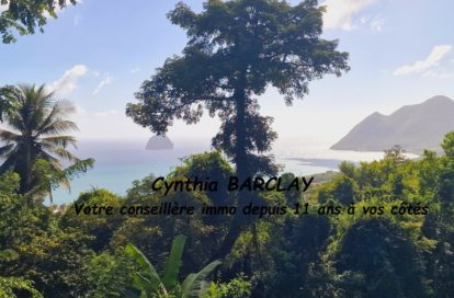 Maison de campagne à LE DIAMANT (97223) - 3011442000