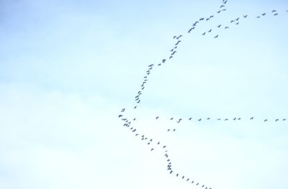 Maison à CUSSAC (87150) - 3011427573