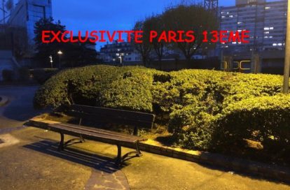 Appartement à PARIS 13EME ARRONDISSEMENT (75013) - 3011427936