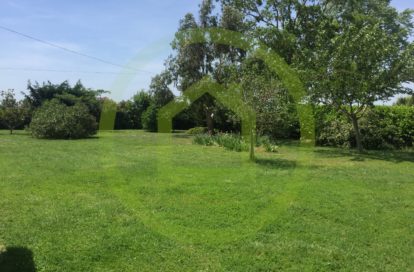 Terrain à DAUX (31700) - 3011430313