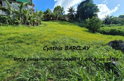 Terrain à FORT DE FRANCE (97200) - 3011436342