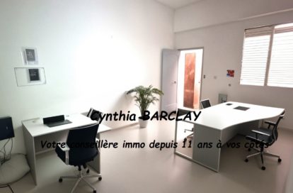 Local commercial à LE MORNE ROUGE (97260) - 3011436984