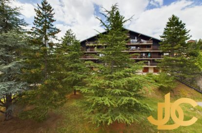 Appartement à AURON (06660)