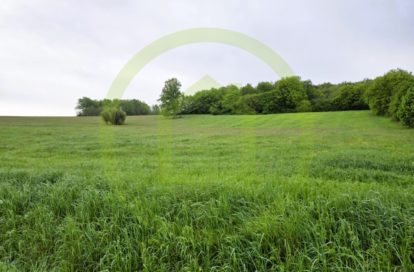 Terrain à MIRAMBEAU (17150) - 3011439203