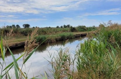 Terrain à SAINT BONNET SUR GIRONDE (17150) - 3011439230