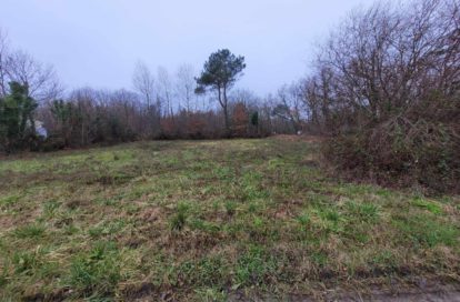Terrain à SEMOUSSAC (17150) - 3011439266