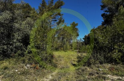 Terrain agricole à SAINT PAUL EN FORET (83440) - 3011439331