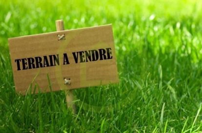 Terrain à LES MEES (04190) - 3011439945