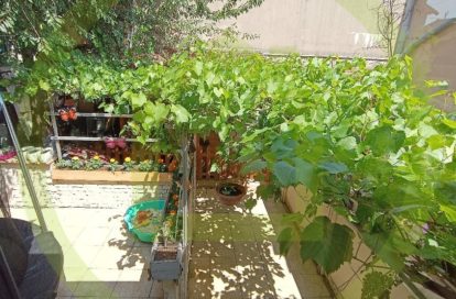 Maison à ARGENTEUIL (95100) - 3011440482