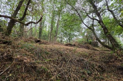 Maison à BAZAIGES (36270) - 3011441054