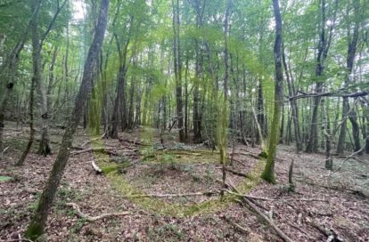 Terrain à SAINT MICHEL SUR SAVASSE (26750) - 3011441237