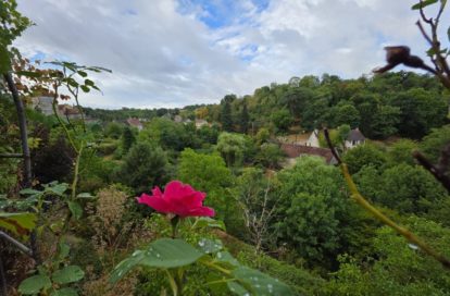 Maison à SAINT BENOIT DU SAULT (36170) - 3011441826
