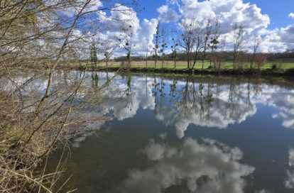 Terrain à FONTGOMBAULT (36220) - 3011441980