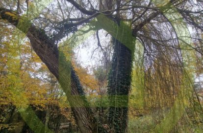 Terrain à BETHEMONT LA FORET (95840) - 3011441999