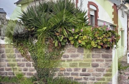 Maison à PLOUHA (22580) - 3011442130