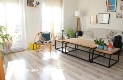 Appartement à SAINT-JEAN-DE-BRAYE (45800) - 3011431560