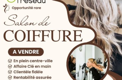 Salon de coiffure à EZANVILLE (95460) - 3011439527