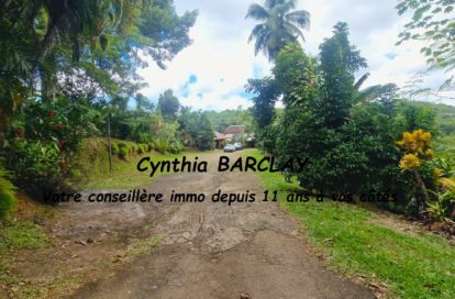 Villa à SAINT JOSEPH (97212) - 3011441024