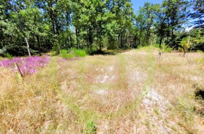 Maison à ETAULIERS (33820) - 3011441136