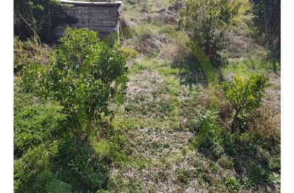 Maison à BASTELICACCIA (20129) - 3011441526