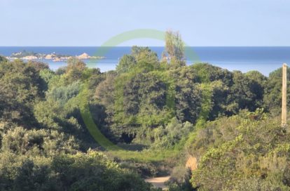 Appartement à PIETROSELLA (20166) - 3011441785